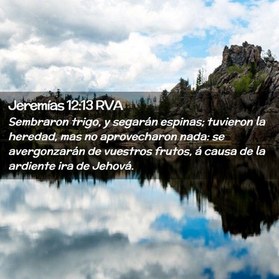 Picture 02 - Jeremías 12:13 RVA - Sembraron trigo, y segarán espinas; tuvieron la - Bible Verse Picture
