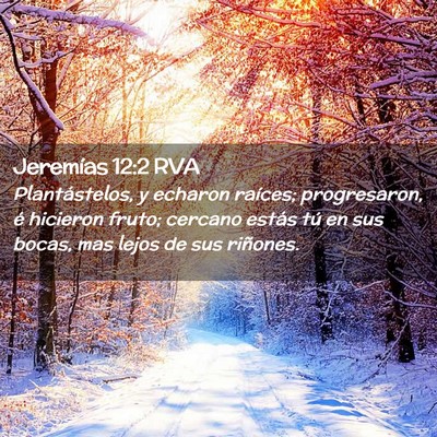 Picture 02 - Jeremías 12:2 RVA - Plantástelos, y echaron raíces; progresaron, é - Bible Verse Picture