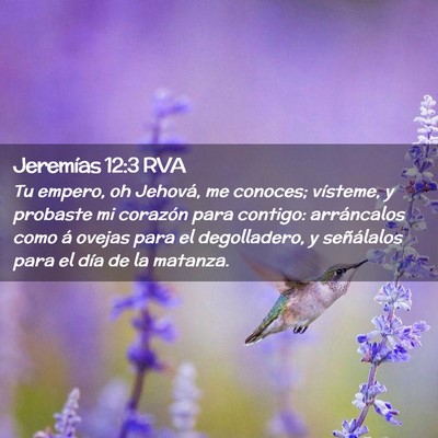 Picture 02 - Jeremías 12:3 RVA - Tu empero, oh Jehová, me conoces; vísteme, y - Bible Verse Picture