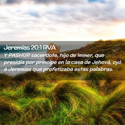 Picture 02 - Jeremías 20:1 RVA - Y PASHUR sacerdote, hijo de Immer, que presidía - Bible Verse Picture