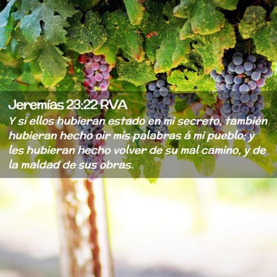 Picture 02 - Jeremías 23:22 RVA - Y si ellos hubieran estado en mi secreto, - Bible Verse Picture