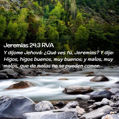 Picture 02 - Jeremías 24:3 RVA - Y díjome Jehová: ¿Qué ves tú, Jeremías? Y - Bible Verse Picture
