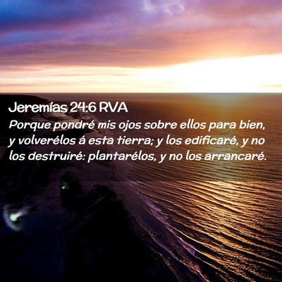 Picture 02 - Jeremías 24:6 RVA - Porque pondré mis ojos sobre ellos para bien, y - Bible Verse Picture