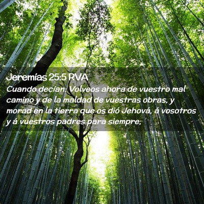 Picture 02 - Jeremías 25:5 RVA - Cuando decían: Volveos ahora de vuestro mal - Bible Verse Picture