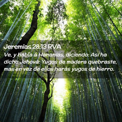 Picture 02 - Jeremías 28:13 RVA - Ve, y habla á Hananías, diciendo: Así ha dicho - Bible Verse Picture