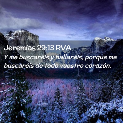Picture 02 - Jeremías 29:13 RVA - Y me buscaréis y hallaréis, porque me - Bible Verse Picture