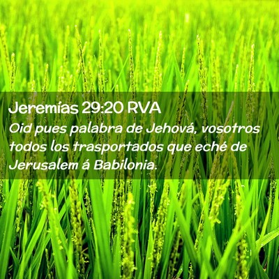 Picture 02 - Jeremías 29:20 RVA - Oid pues palabra de Jehová, vosotros todos los - Bible Verse Picture