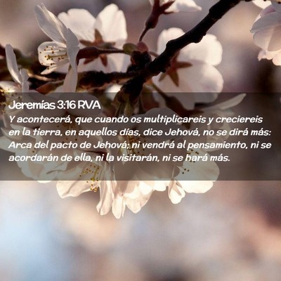 Picture 02 - Jeremías 3:16 RVA - Y acontecerá, que cuando os multiplicareis y - Bible Verse Picture