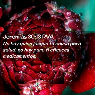 Picture 02 - Jeremías 30:13 RVA - No hay quien juzgue tu causa para salud: no hay - Bible Verse Picture