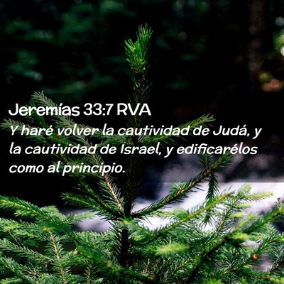 Picture 02 - Jeremías 33:7 RVA - Y haré volver la cautividad de Judá, y la - Bible Verse Picture