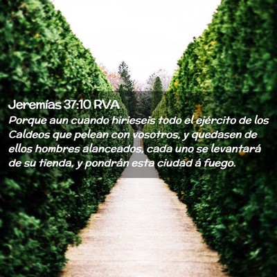 Picture 02 - Jeremías 37:10 RVA - Porque aun cuando hirieseis todo el ejército de - Bible Verse Picture