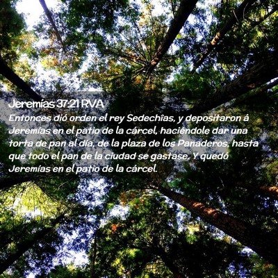 Picture 02 - Jeremías 37:21 RVA - Entonces dió orden el rey Sedechîas, y - Bible Verse Picture