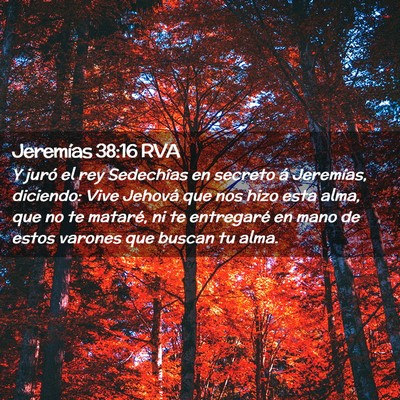 Picture 02 - Jeremías 38:16 RVA - Y juró el rey Sedechîas en secreto á - Bible Verse Picture