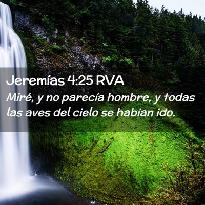 Picture 02 - Jeremías 4:25 RVA - Miré, y no parecía hombre, y todas las aves del - Bible Verse Picture