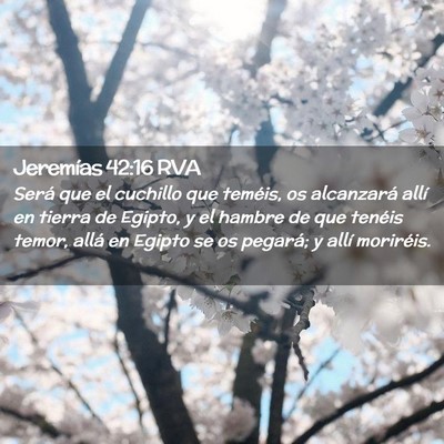 Picture 02 - Jeremías 42:16 RVA - Será que el cuchillo que teméis, os alcanzará - Bible Verse Picture