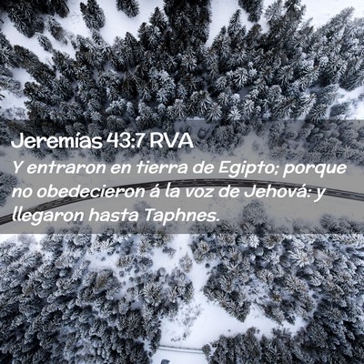 Picture 02 - Jeremías 43:7 RVA - Y entraron en tierra de Egipto; porque no - Bible Verse Picture