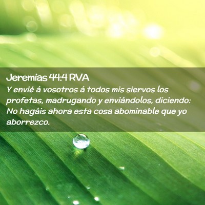 Picture 02 - Jeremías 44:4 RVA - Y envié á vosotros á todos mis siervos los - Bible Verse Picture