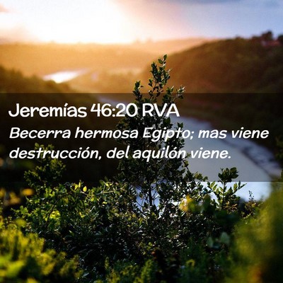 Picture 02 - Jeremías 46:20 RVA - Becerra hermosa Egipto; mas viene destrucción, - Bible Verse Picture