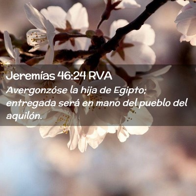 Picture 02 - Jeremías 46:24 RVA - Avergonzóse la hija de Egipto; entregada será - Bible Verse Picture