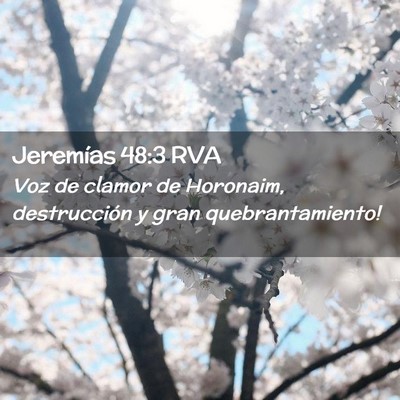 Picture 02 - Jeremías 48:3 RVA - Voz de clamor de Horonaim, destrucción y gran - Bible Verse Picture
