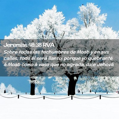Picture 02 - Jeremías 48:38 RVA - Sobre todas las techumbres de Moab y en sus - Bible Verse Picture