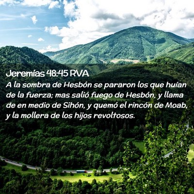 Picture 02 - Jeremías 48:45 RVA - A la sombra de Hesbón se pararon los que huían - Bible Verse Picture