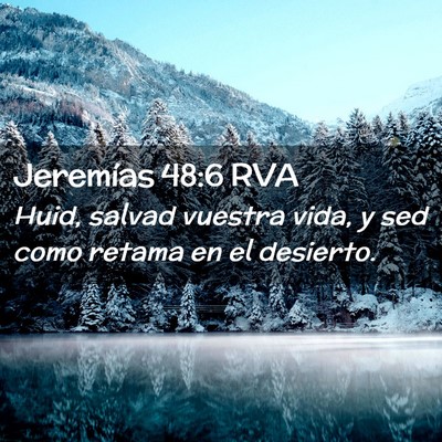 Picture 02 - Jeremías 48:6 RVA - Huid, salvad vuestra vida, y sed como retama en - Bible Verse Picture