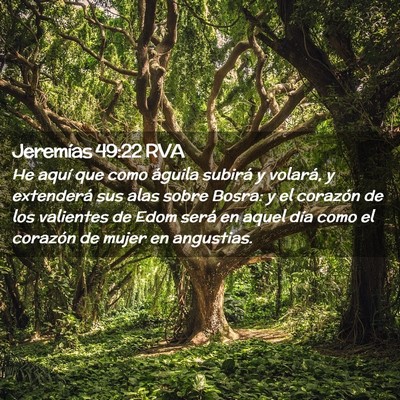 Picture 02 - Jeremías 49:22 RVA - He aquí que como águila subirá y volará, y - Bible Verse Picture