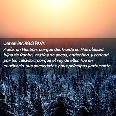 Picture 02 - Jeremías 49:3 RVA - Aulla, oh Hesbón, porque destruída es Hai; - Bible Verse Picture
