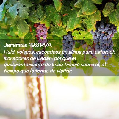 Picture 02 - Jeremías 49:8 RVA - Huid, volveos, escondeos en simas para estar, oh - Bible Verse Picture