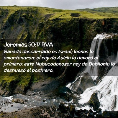 Picture 02 - Jeremías 50:17 RVA - Ganado descarriado es Israel; leones lo - Bible Verse Picture