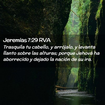 Picture 02 - Jeremías 7:29 RVA - Trasquila tu cabello, y arrójalo, y levanta - Bible Verse Picture