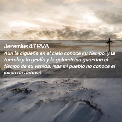 Picture 02 - Jeremías 8:7 RVA - Aun la cigüeña en el cielo conoce su tiempo, y - Bible Verse Picture