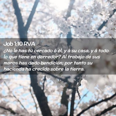 Picture 02 - Job 1:10 RVA - ¿No le has tú cercado á él, y á su casa, y - Bible Verse Picture