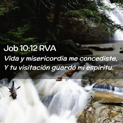 Picture 02 - Job 10:12 RVA - Vida y misericordia me concediste, Y tu - Bible Verse Picture
