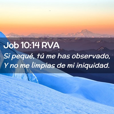 Picture 02 - Job 10:14 RVA - Si pequé, tú me has observado, Y no me limpias - Bible Verse Picture