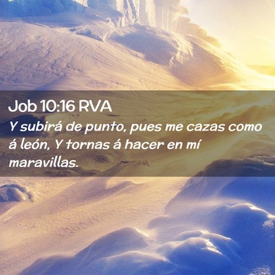 Picture 02 - Job 10:16 RVA - Y subirá de punto, pues me cazas como á león, - Bible Verse Picture