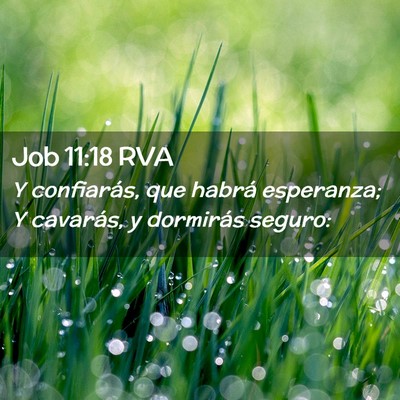 Picture 02 - Job 11:18 RVA - Y confiarás, que habrá esperanza; Y cavarás, y - Bible Verse Picture