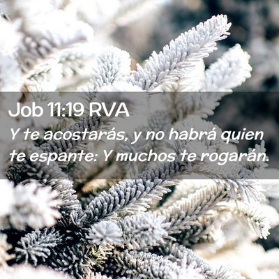 Picture 02 - Job 11:19 RVA - Y te acostarás, y no habrá quien te espante: Y - Bible Verse Picture