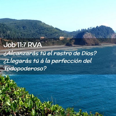 Picture 02 - Job 11:7 RVA - ¿Alcanzarás tú el rastro de Dios? ¿Llegarás - Bible Verse Picture