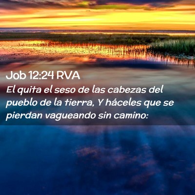 Picture 02 - Job 12:24 RVA - El quita el seso de las cabezas del pueblo de la - Bible Verse Picture