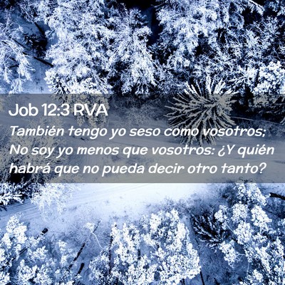 Picture 02 - Job 12:3 RVA - También tengo yo seso como vosotros; No soy yo - Bible Verse Picture