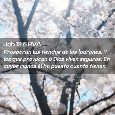 Picture 02 - Job 12:6 RVA - Prosperan las tiendas de los ladrones, Y los que - Bible Verse Picture