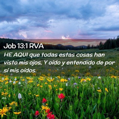 Picture 02 - Job 13:1 RVA - HE AQUI que todas estas cosas han visto mis ojos, - Bible Verse Picture
