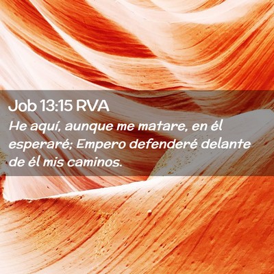 Picture 02 - Job 13:15 RVA - He aquí, aunque me matare, en él esperaré; - Bible Verse Picture