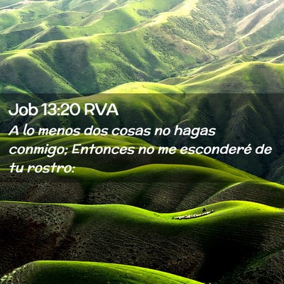 Picture 02 - Job 13:20 RVA - A lo menos dos cosas no hagas conmigo; Entonces - Bible Verse Picture