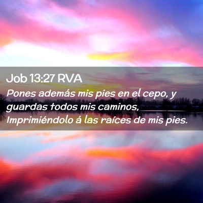 Picture 02 - Job 13:27 RVA - Pones además mis pies en el cepo, y guardas - Bible Verse Picture