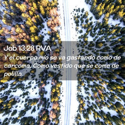 Picture 02 - Job 13:28 RVA - Y el cuerpo mío se va gastando como de carcoma, - Bible Verse Picture