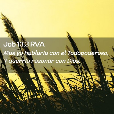 Picture 02 - Job 13:3 RVA - Mas yo hablaría con el Todopoderoso, Y querría - Bible Verse Picture