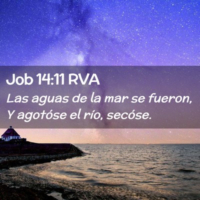 Picture 02 - Job 14:11 RVA - Las aguas de la mar se fueron, Y agotóse el - Bible Verse Picture